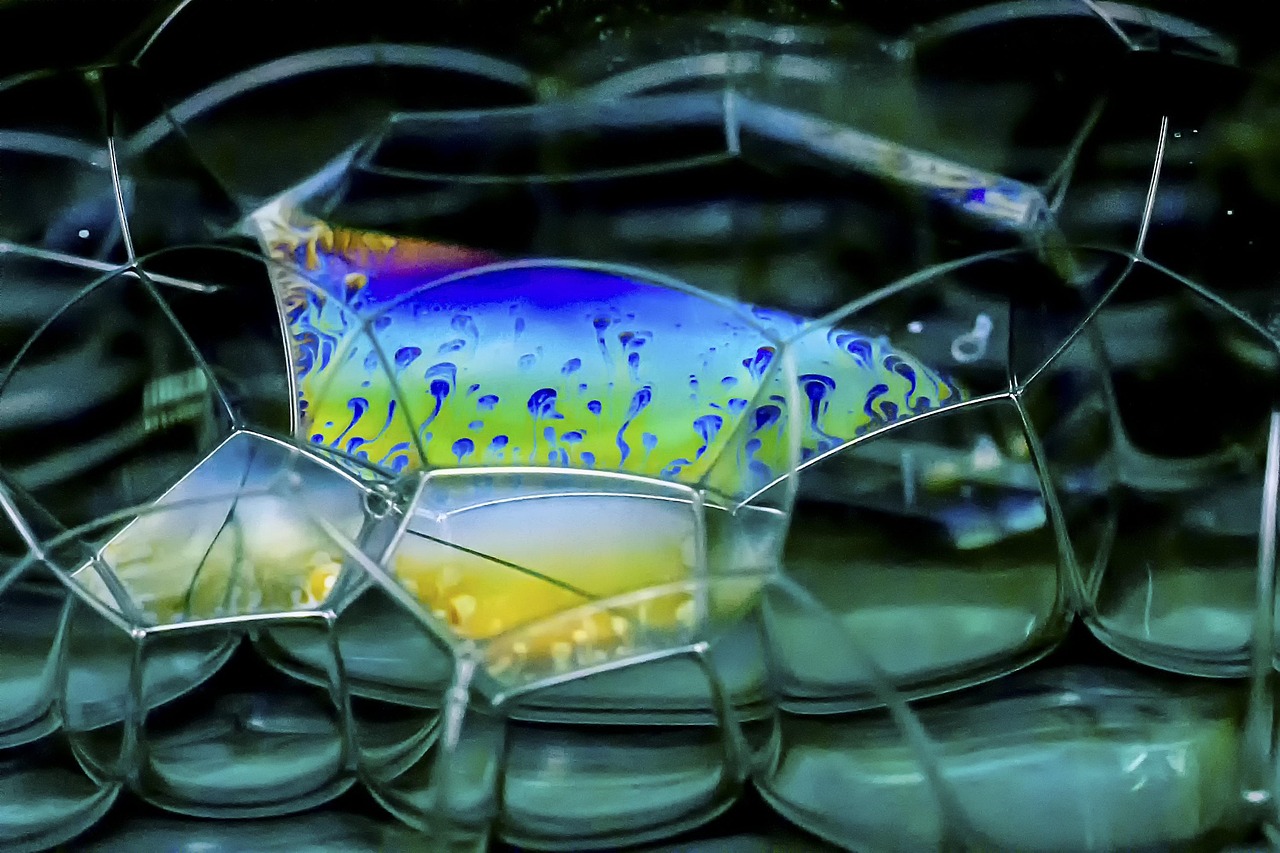 Défi photo 7 jours pour débutant : Transformez votre regard sur la photographie !