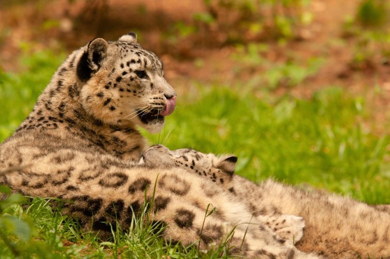 Exercices pratiques pour comprendre la lumière en photographie