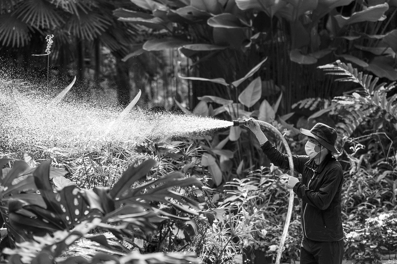 Corriger une photo surexposée simplement : Astuces faciles pour améliorer vos images