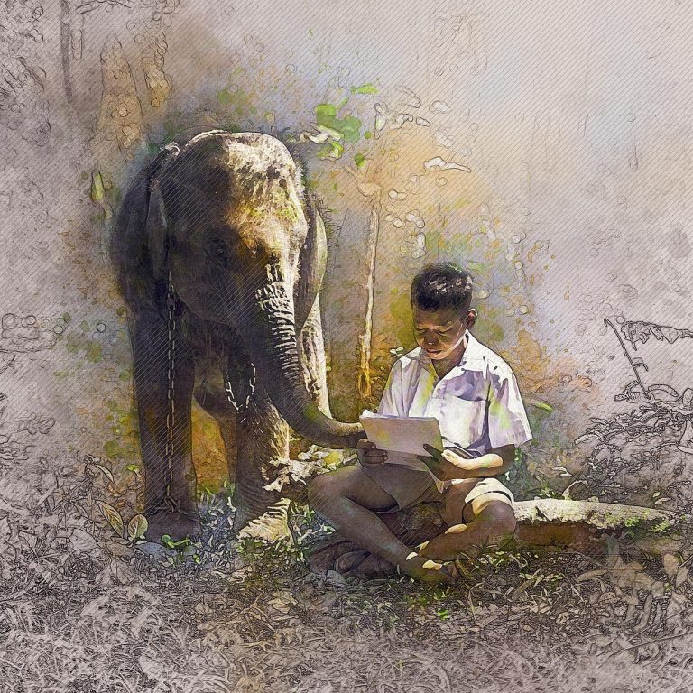 Améliorer les détails d’une photo avec une appli gratuite : astuces et conseils incontournables