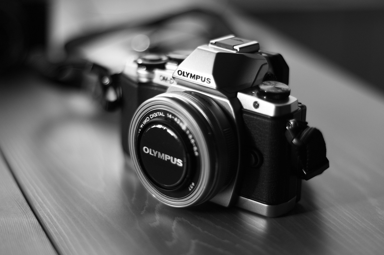 Comment photographier à hauteur des yeux : Découvrez pourquoi c'est crucial pour des images percutantes