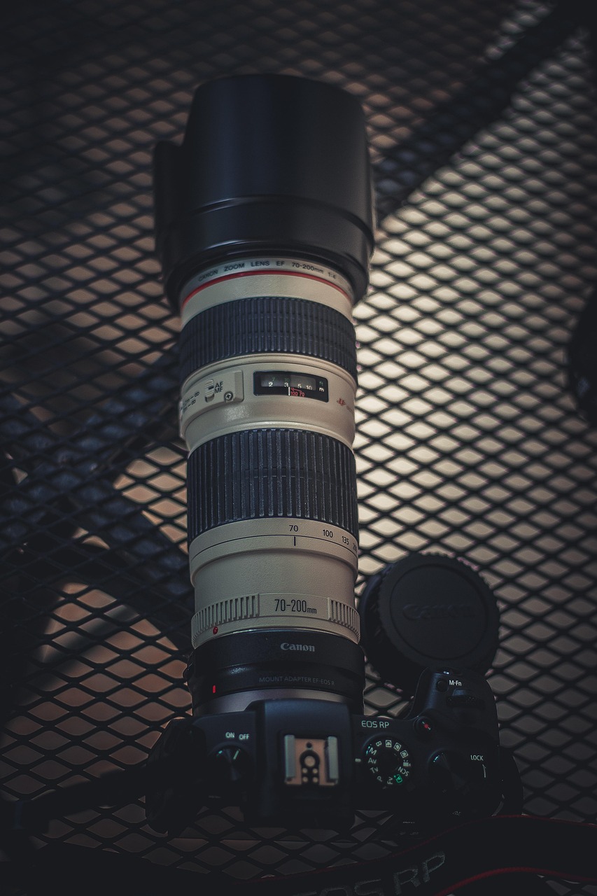 Qualité de lumière dure ou douce : explication simple pour débutants en photographie