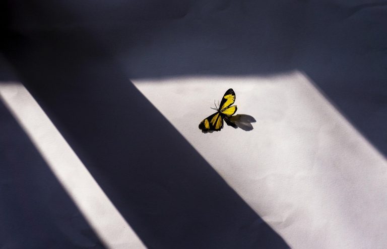 Idées Photo Créatives : Capturer des Reflets Éblouissants sur une Table Brillante