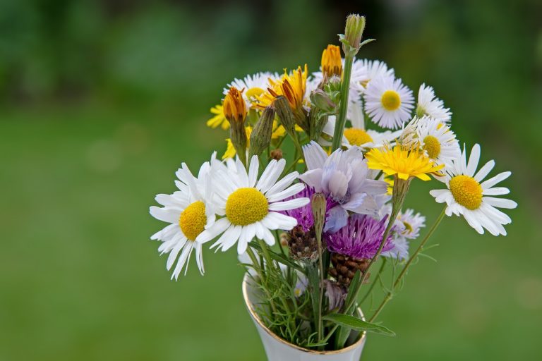 Comment analyser une photo pour progresser en photographie